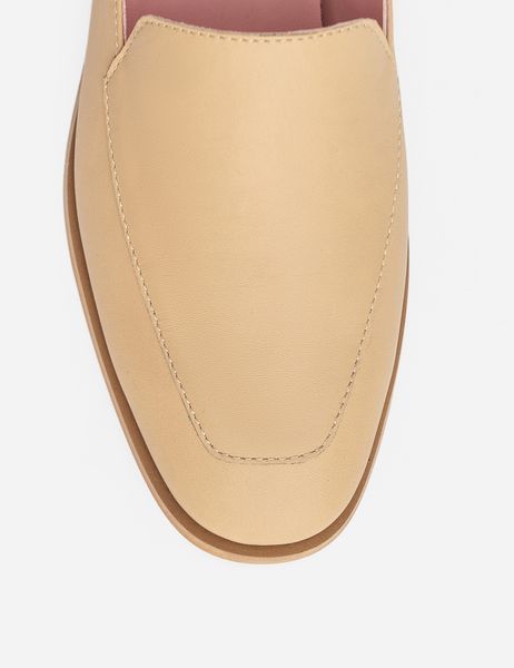 Mule Powder